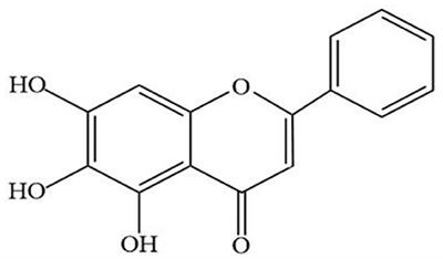 Preclinical Evidence and Possible Mechanisms of Baicalein for Rats and Mice With Parkinson's Disease: A Systematic Review and Meta-Analysis